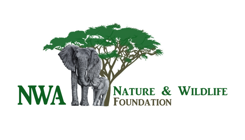 NWA logo